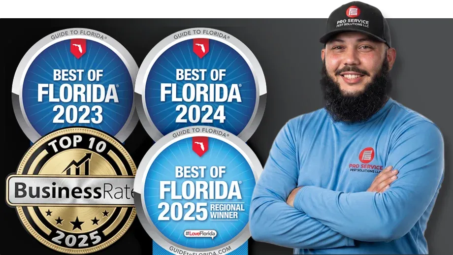Awards Best of Florida 2023, 2024, and 2025