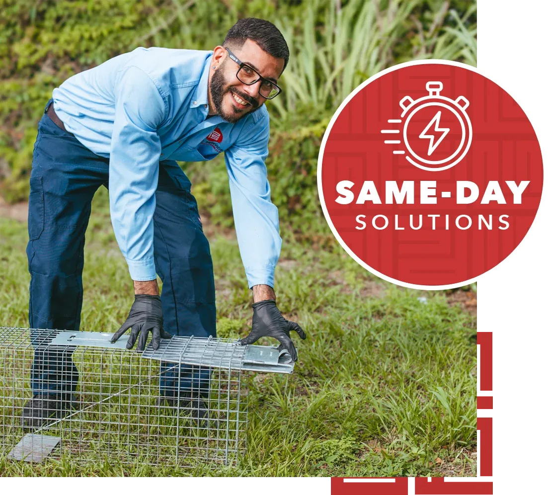 pro service technician wildlife trap