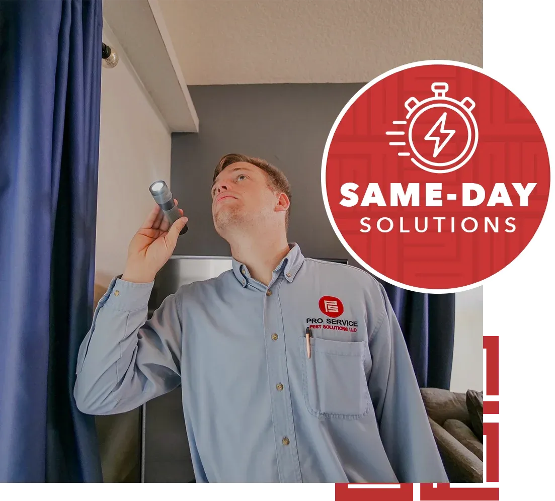 same day solutions