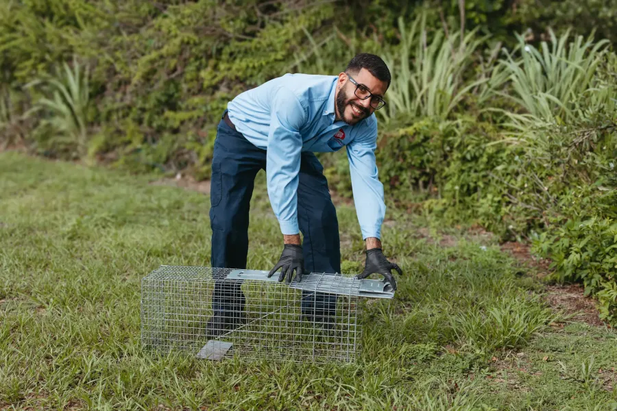 pro service technician