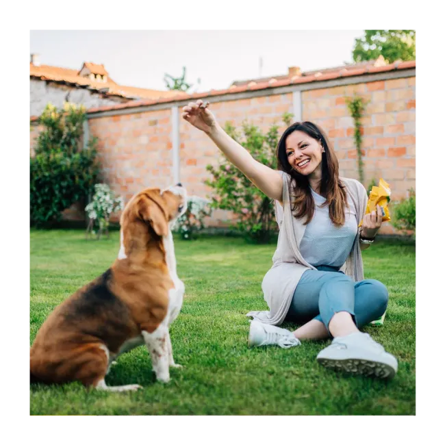 Woman playing with her dog outside